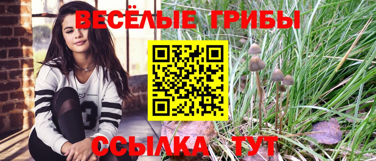 Галлюциногенные грибы MAGIC MUSHROOMS Десногорск